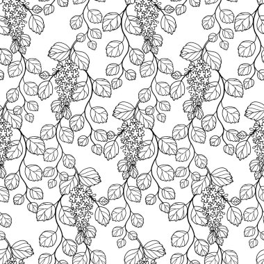 Süslü bir spirea çalısı, kuş kirazı, yapraklar ve küçük beyaz çiçekler, el işi çizim ile siyah çizgili ve beyaz dolgulu bir çizgi.