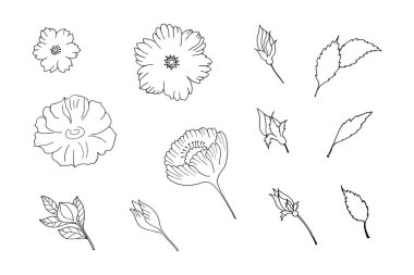 Dekoratif çiçek, tomurcuk, dallar, yapraklar, beyaz dolgulu nesneler ve beyaz arkaplanda siyah çizgiler.