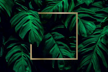 Ortasında altın şeritli bir arka plan olarak bir sürü parlak yeşil tropikal yaprak