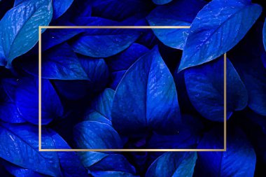 Ortasında altın bir şerit olan parlak tropikal yapraklar..