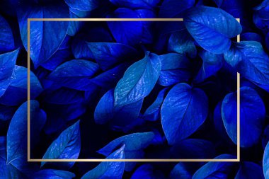 Ortasında altın bir şerit olan parlak tropikal yapraklar..