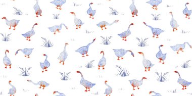 Beyaz arka planda bulunan el yapımı suluboya desenli kazlar ve otlar. Kumaş, duvar kâğıtları, hediye ambalajı, hatıra defteri için renkli bir arka plan. Çocuklar için tasarım.