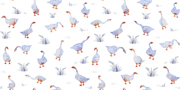 Handmade watercolor seamless pattern geese swan and grass isolated on the white background. Colorful background for fabric, wallpapers, gift wrapping paper, scrapbooking. Design for kids. — Stock Photo, Image