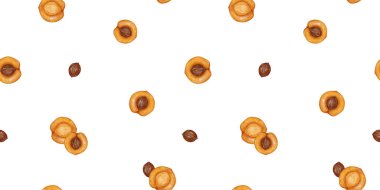 Şeftali, kayısı ve beyaz arka planda izole edilmiş çekirdek örnekleriyle sulu boya deseni. Yarısı kayısı dilimli egzotik tropik desen.