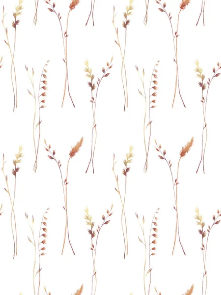 Акварельний безшовний візерунок з ілюстрацією вінтажних колосків і лопатей трави, ізольованих на білому тлі. Польові рослини, трави. Суха проста польова трава . — стокове фото