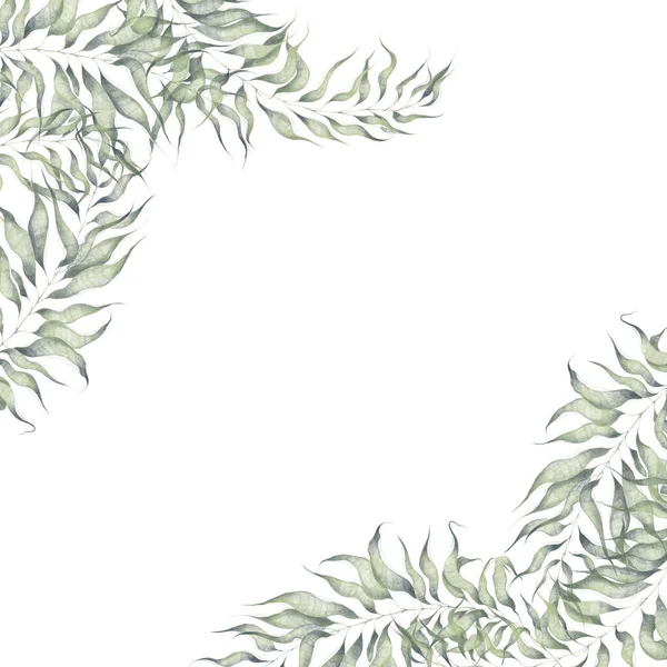 Modern tarzda beyaz bir arkaplanda izole edilmiş bitki elementlerinin resmedildiği suluboya köşe çerçevesi. Düğün davetiyesi için yaprakları olan şubeler, tebrik kartı, illüstrasyon, set. — Stok fotoğraf