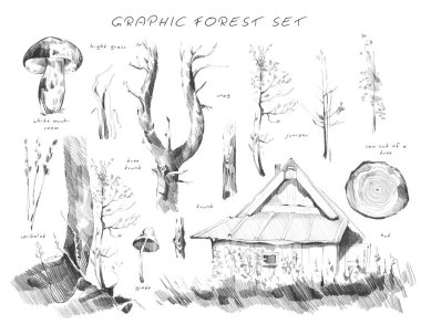 Elle çizilmiş grafik ambar tarzı orman, ahşap eski ev, kulübe, ağaçlar, gövde, çimen, beyaz arka planda izole edilmiş mantarlar..