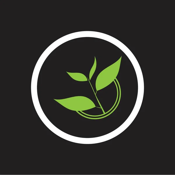 Brotes Hojas Verde Taza Orgánico Hoja Logotipo Símbolo Diseño Ide — Vector de stock
