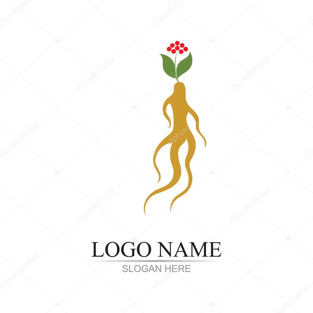 Ginseng illustration icon vector design template
