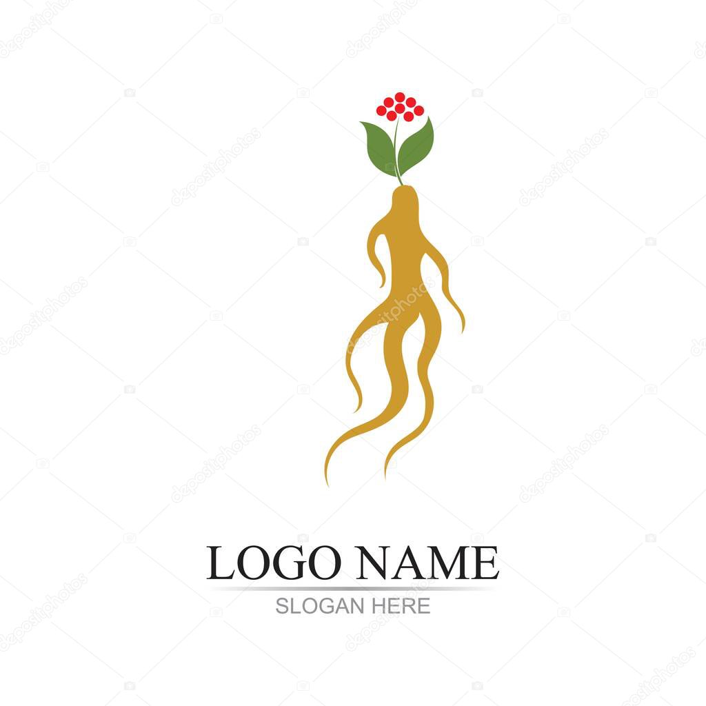 ginseng illustration icon vector design template