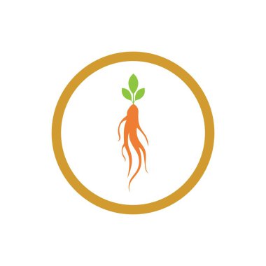 Ginseng simgesi Vektör İllüstrasyon Tasarımı Logo şablonu
