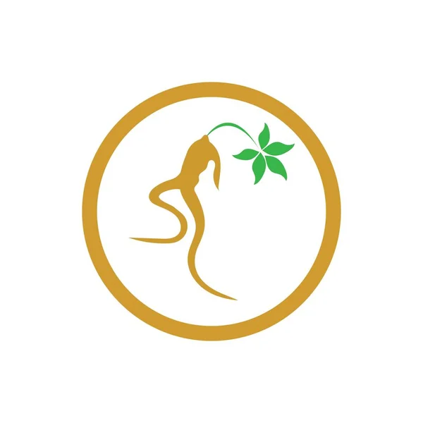 Ikona Żeń Szeń Wektor Projekt Ilustracji Szablon Logo — Wektor stockowy