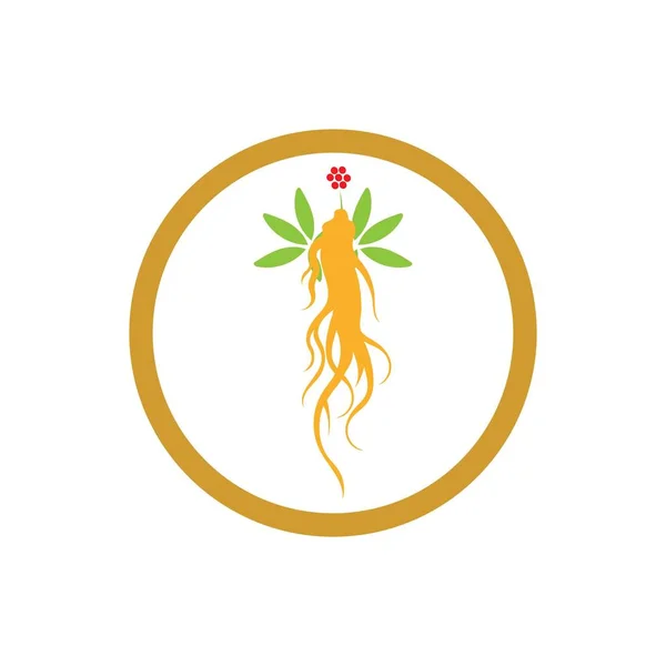 Ícone Ginseng Vector Design Ilustração Modelo Logotipo — Vetor de Stock