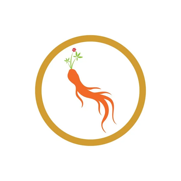 Ícone Ginseng Vector Design Ilustração Modelo Logotipo — Vetor de Stock