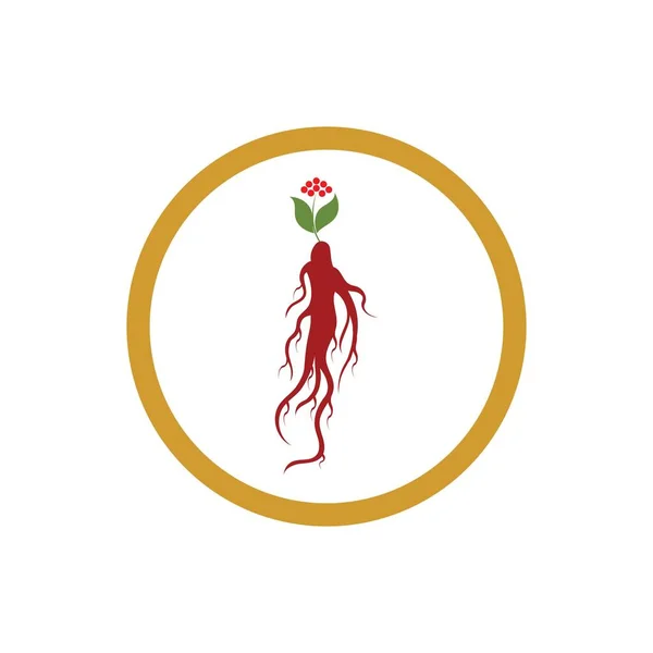 Icono Ginseng Vector Diseño Ilustración Logo Plantilla — Vector de stock