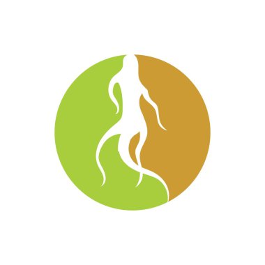 ginseng illüstrasyon ikon vektör tasarım şablonu