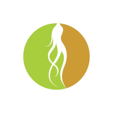 ginseng illüstrasyon ikon vektör tasarım şablonu