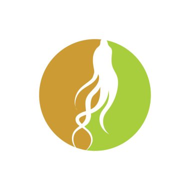 ginseng illüstrasyon ikon vektör tasarım şablonu