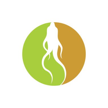 ginseng illüstrasyon ikon vektör tasarım şablonu