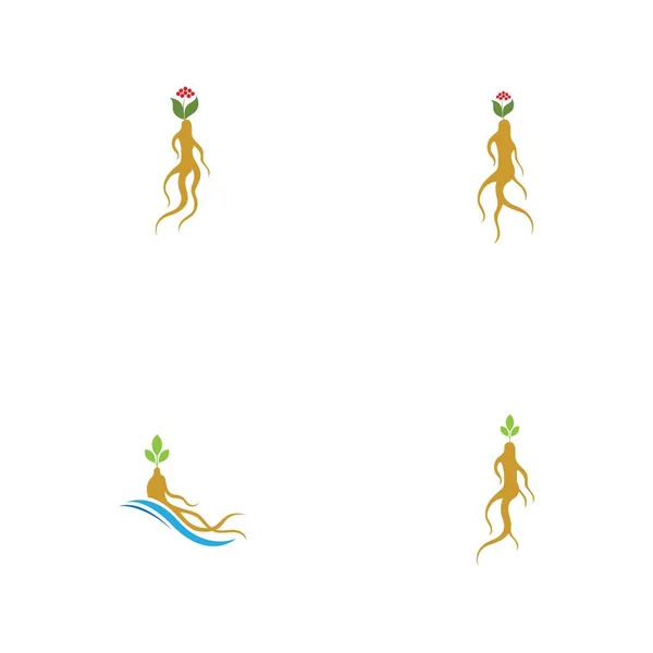 Ginseng Logo Set Illustration Vektorvorlage — Stockvektor