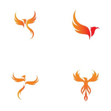 Phoenix logo tasarımı vektör çizimi