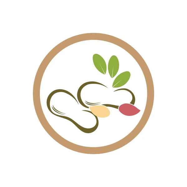 Logo Orzeszka Ziemnego Wektor Ilustracja Wzór Projektu — Wektor stockowy