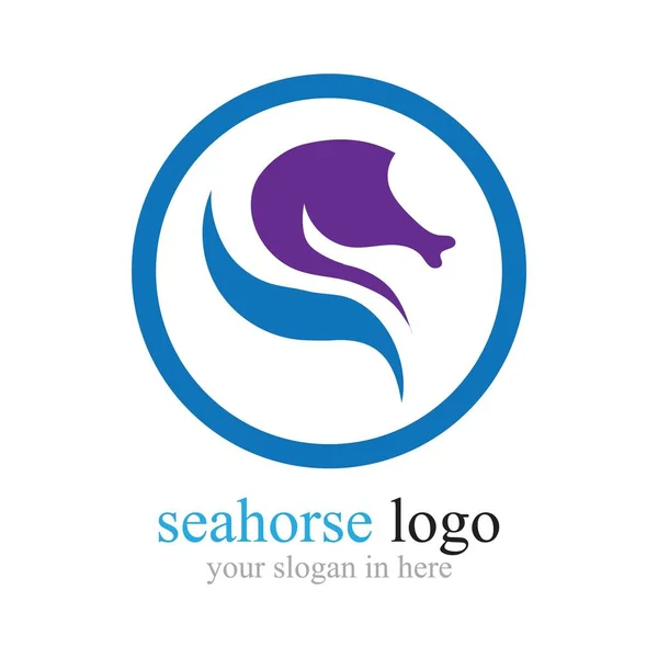 Sea Horse Logo Illustration Design Template — Stock Vector