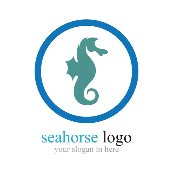Sea Horse Logo Illustration Design Template — Stock Vector