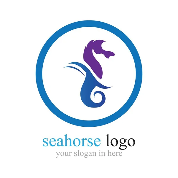 Sea Horse Logo Illustration Design Template — Stock Vector