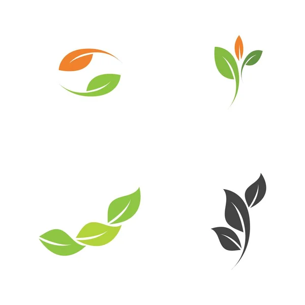 Σύνολο Λογότυπων Πράσινων Φύλλων Οικολογίας Στοιχείο Διάνυσμα Εικονίδιο — Διανυσματικό Αρχείο