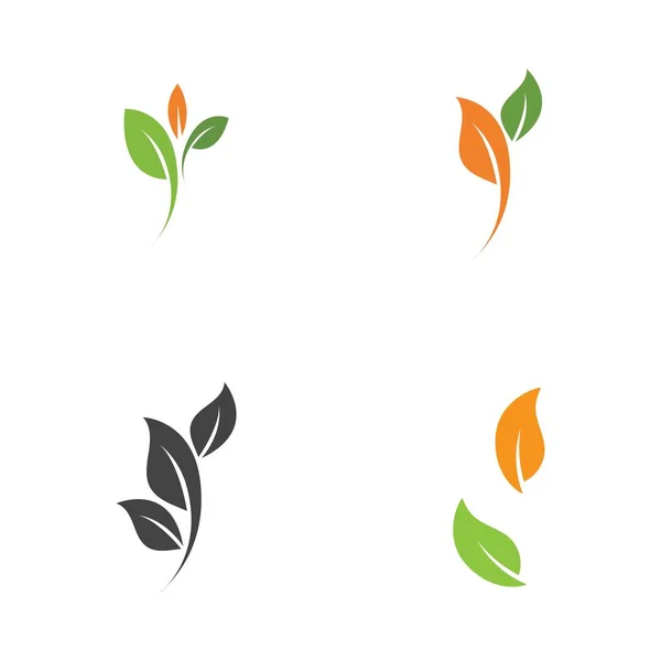 Conjunto Logotipos Folha Verde Ecologia Elemento Natureza Vetor Ícone — Vetor de Stock