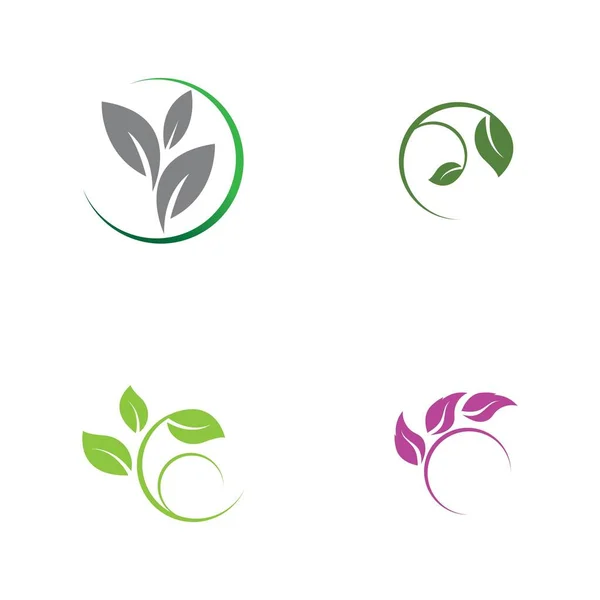 Zestaw Logos Zielonych Liści Ekologia Natura Element Wektor Ikona — Wektor stockowy