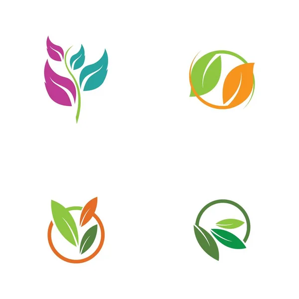 Conjunto Logotipos Verde Hoja Ecología Naturaleza Elemento Vector Icono — Archivo Imágenes Vectoriales