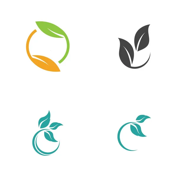 Conjunto Logotipos Verde Hoja Ecología Naturaleza Elemento Vector Icono — Vector de stock