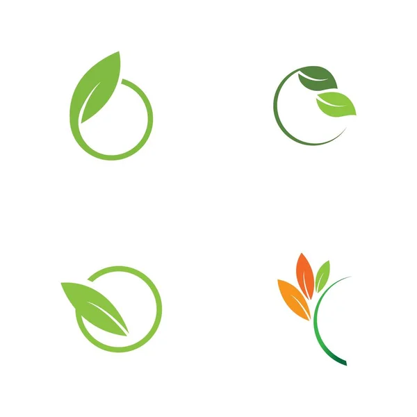 Conjunto Logotipos Verde Hoja Ecología Naturaleza Elemento Vector Icono — Vector de stock