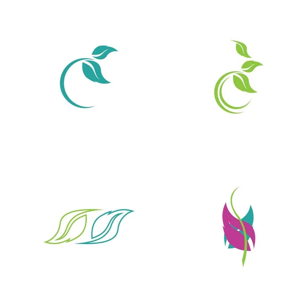 Ensemble Logos Vert Feuille Écologie Élément Nature Vecteur Icône — Image vectorielle