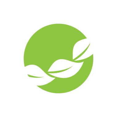 Yeşil yapraklı ekoloji doğa element vektörü