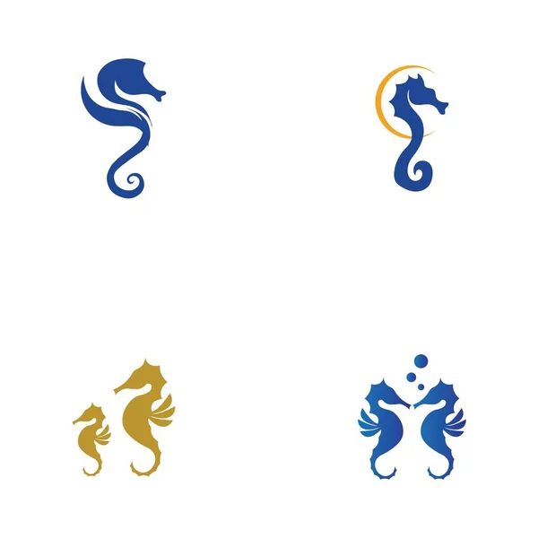 Set Sea Horse Logo Illustrazione Modello Design — Vettoriale Stock