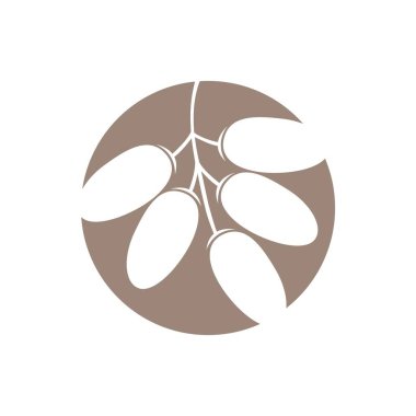 Marka ürünleri oluşturmak için Meyve Tarihleri Tasarım vektör çizimi