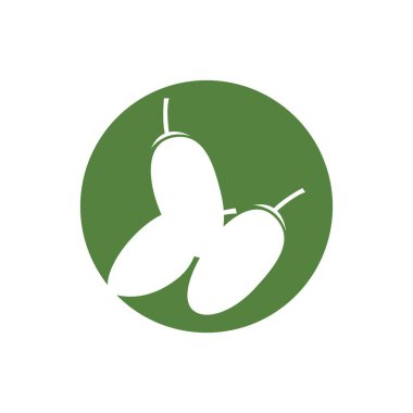 Marka ürünleri oluşturmak için Meyve Tarihleri Tasarım vektör çizimi