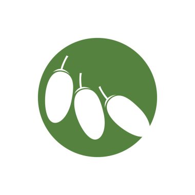 Marka ürünleri oluşturmak için Meyve Tarihleri Tasarım vektör çizimi