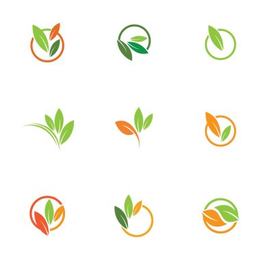 Yaprak simgesi vektörü beyaz arkaplanda izole edildi. Ağaçların ve bitkilerin çeşitli yeşil yaprakları. Eko ve biyologo elementleri