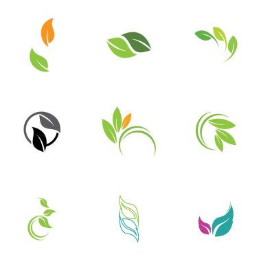 Yaprak simgesi vektörü beyaz arkaplanda izole edildi. Ağaçların ve bitkilerin çeşitli yeşil yaprakları. Eko ve biyologo elementleri