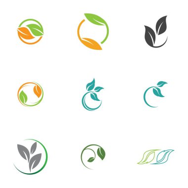 Yaprak simgesi vektörü beyaz arkaplanda izole edildi. Ağaçların ve bitkilerin çeşitli yeşil yaprakları. Eko ve biyologo elementleri