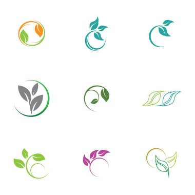 Yaprak simgesi vektörü beyaz arkaplanda izole edildi. Ağaçların ve bitkilerin çeşitli yeşil yaprakları. Eko ve biyologo elementleri