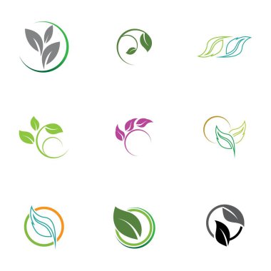 Yaprak simgesi vektörü beyaz arkaplanda izole edildi. Ağaçların ve bitkilerin çeşitli yeşil yaprakları. Eko ve biyologo elementleri