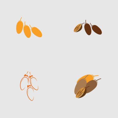 Tarih Meyveleri logo tasarımının vektör çizimi 