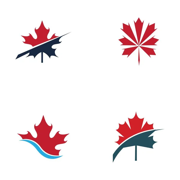 Set Maple Leaf Logo Vector Illustration Design — Stock Vector