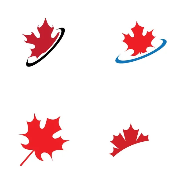 Set Maple Leaf Logo Vector Illustration Design — Stock Vector