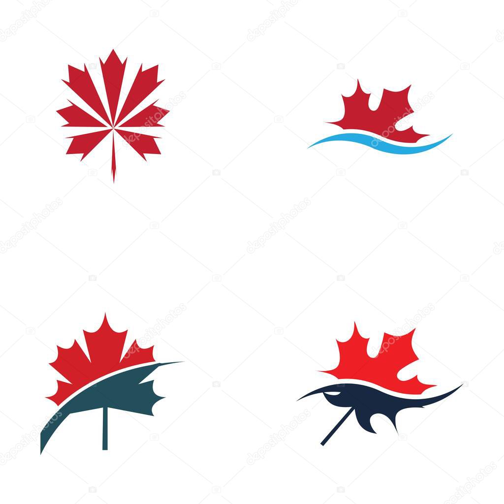 Set of maple leaf logo vector illustration design